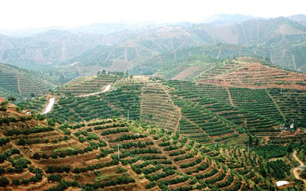 水肥一体化技术在丘陵山地区的应用模式探析