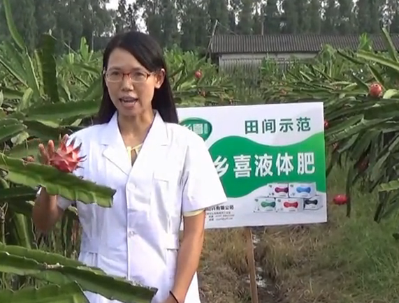 乡喜液体肥视频教程系列：产品研发之大田各种作物试验