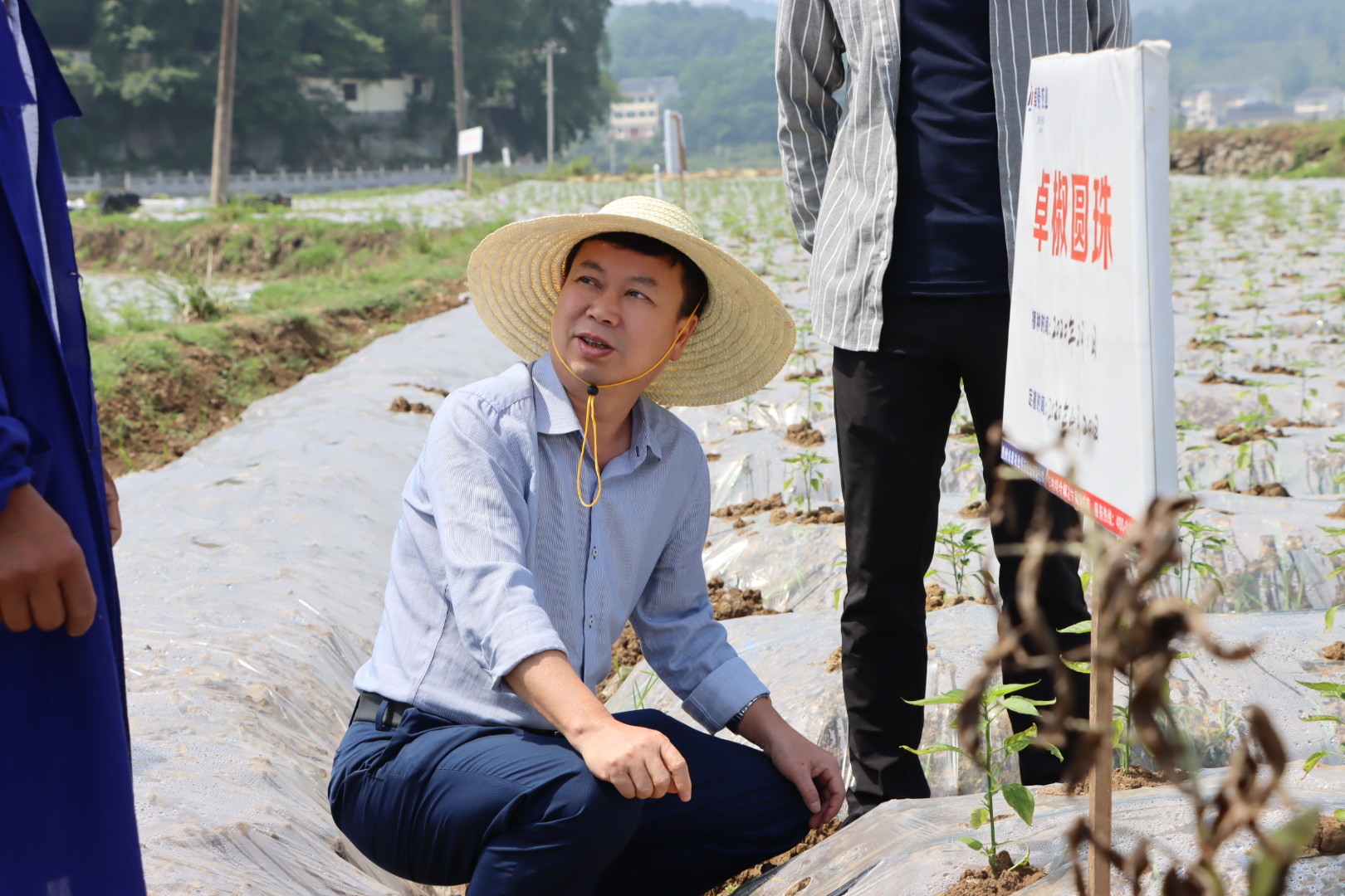 華南農業大學張承林教授赴貴州卓豪農業做水肥一體化技術交流指導