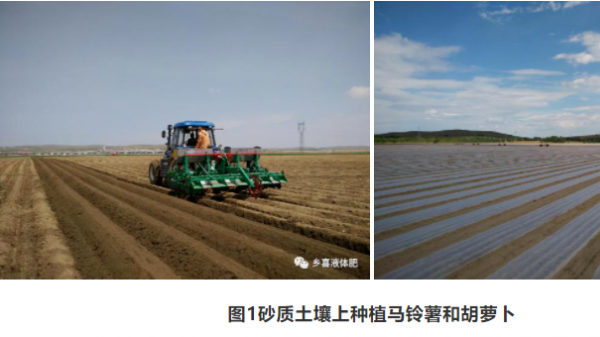 【CNC农技说】如何监控砂质土壤的水肥动态？