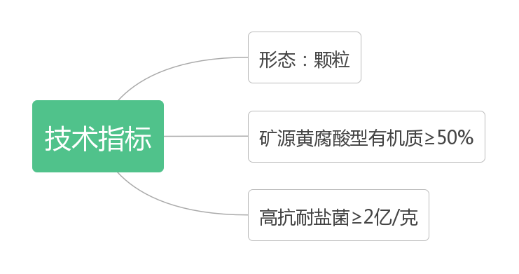 威斯尼斯人app