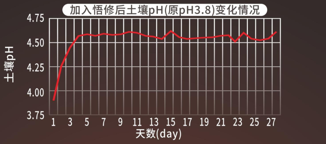 威斯尼斯人app