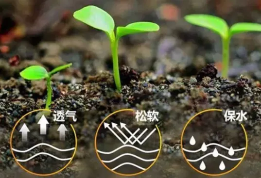 【知识】为什么土壤微生物如此重要？