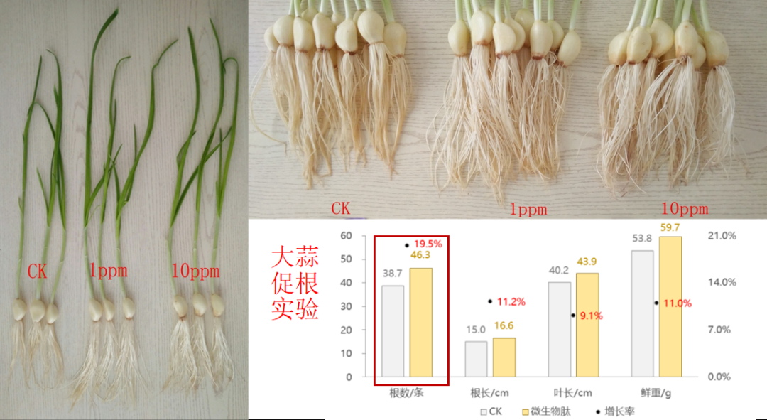 威斯尼斯人app