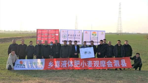 乡喜液体肥小麦观摩会在泗县成功举办